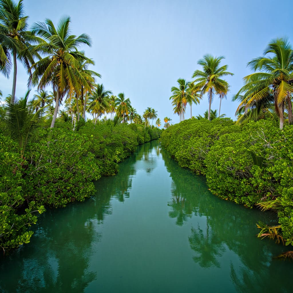 Goa Backwaters